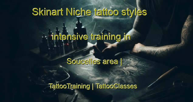 Skinart Niche tattoo styles intensive training in Soucelles area | TattooTraining | TattooClasses | SkinartTraining-France